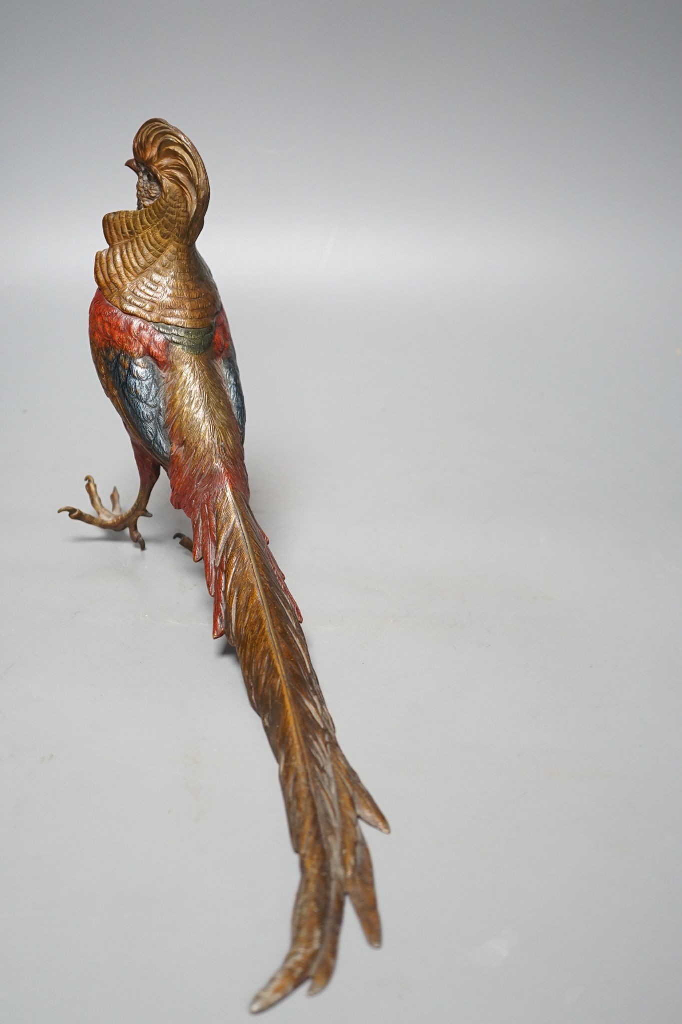 A cold painted bronze golden pheasant in style of Bergman 37cm